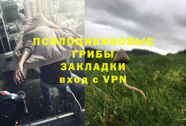 стафф Покровск