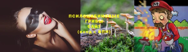мдпв Покачи