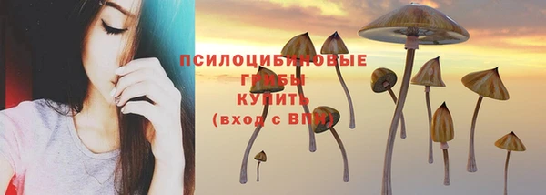 стафф Покровск