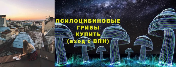 мдпв Покачи