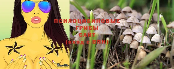 стафф Покровск
