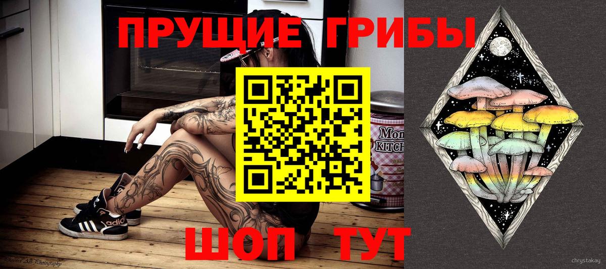 Псилоцибиновые грибы Psilocybine cubensis  Вход с VPN  Тейково  Галлюциногенные грибы прущие грибы 